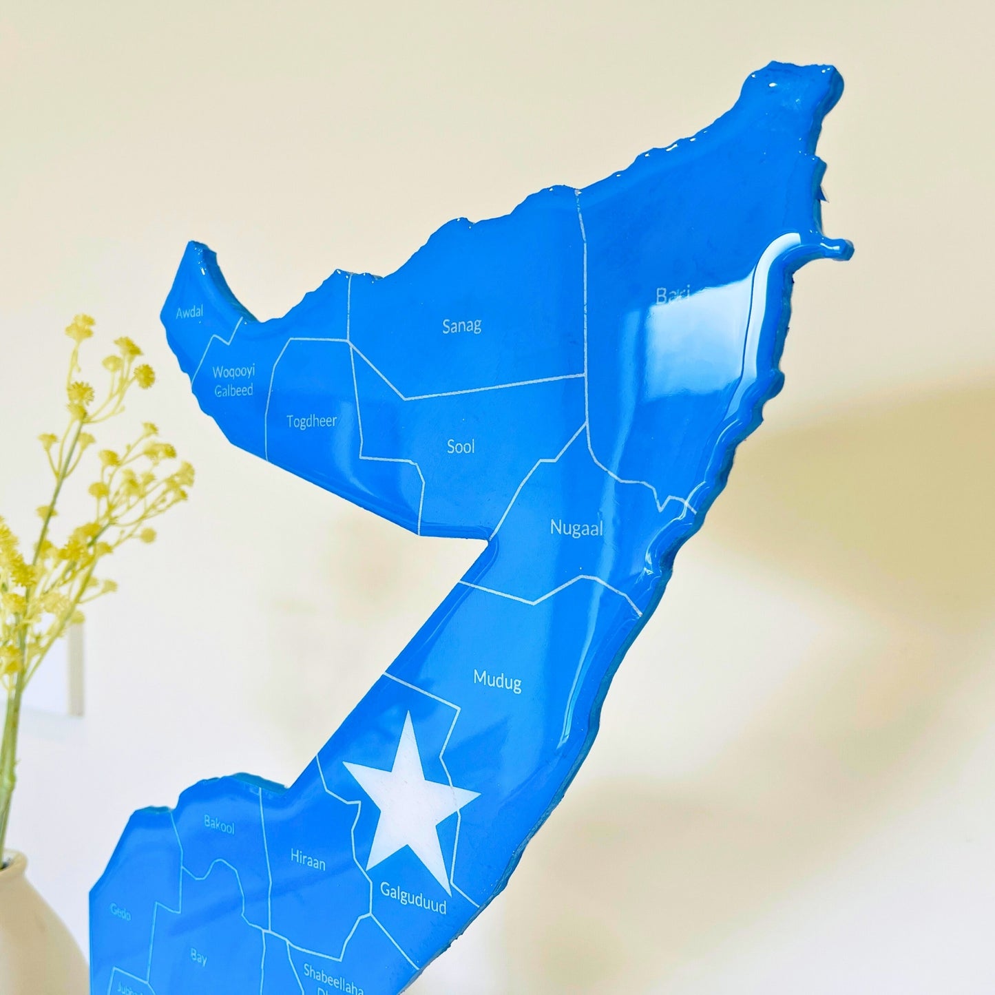 Somalia Map, Somali Flag Colours, Engraved Regions - Glossy Finish | Perfect Gift