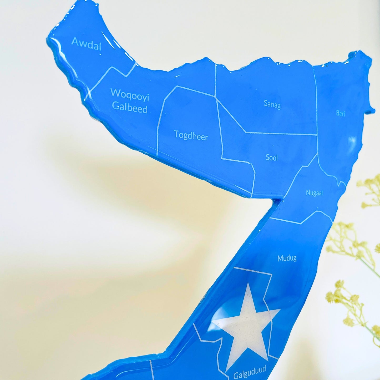 Somalia Map, Somali Flag Colours, Engraved Regions - Glossy Finish | Perfect Gift